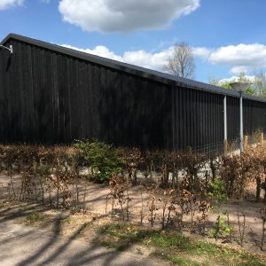 Kapschuur de belten